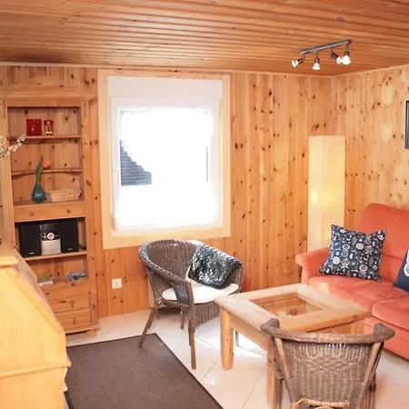 Ferienhaeuser Ohratalsperre Holiday home Luisenthal