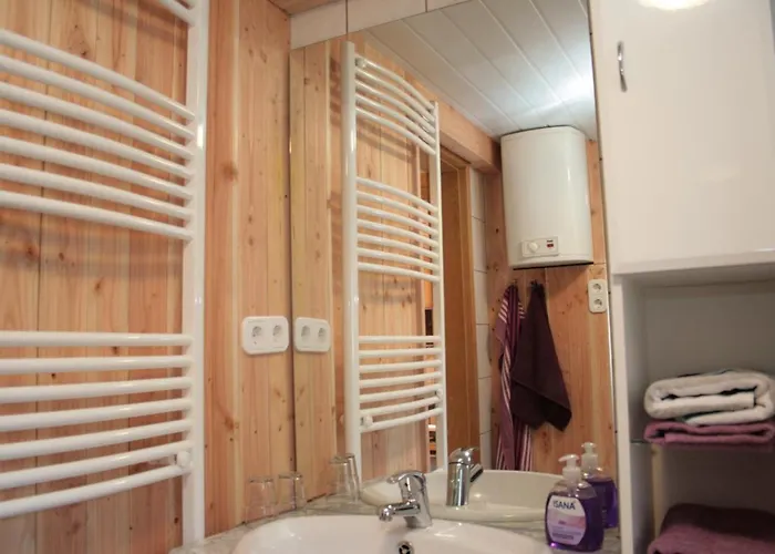 Holiday home Ferienhaeuser Ohratalsperre Luisenthal