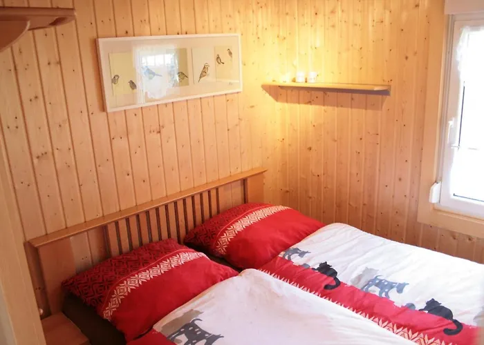 Ferienhaeuser Ohratalsperre *